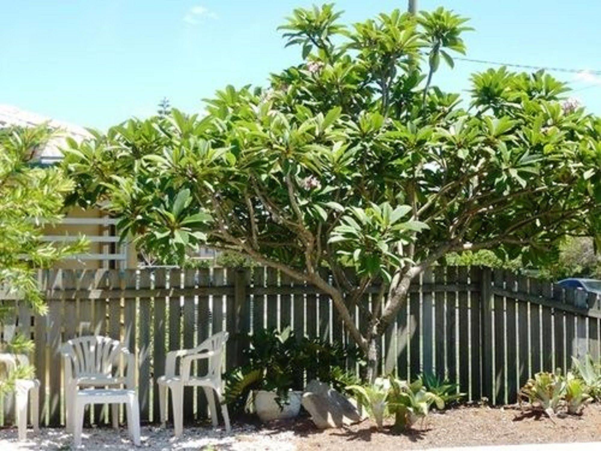 Twin Pines Motel Mooloolaba Εξωτερικό φωτογραφία
